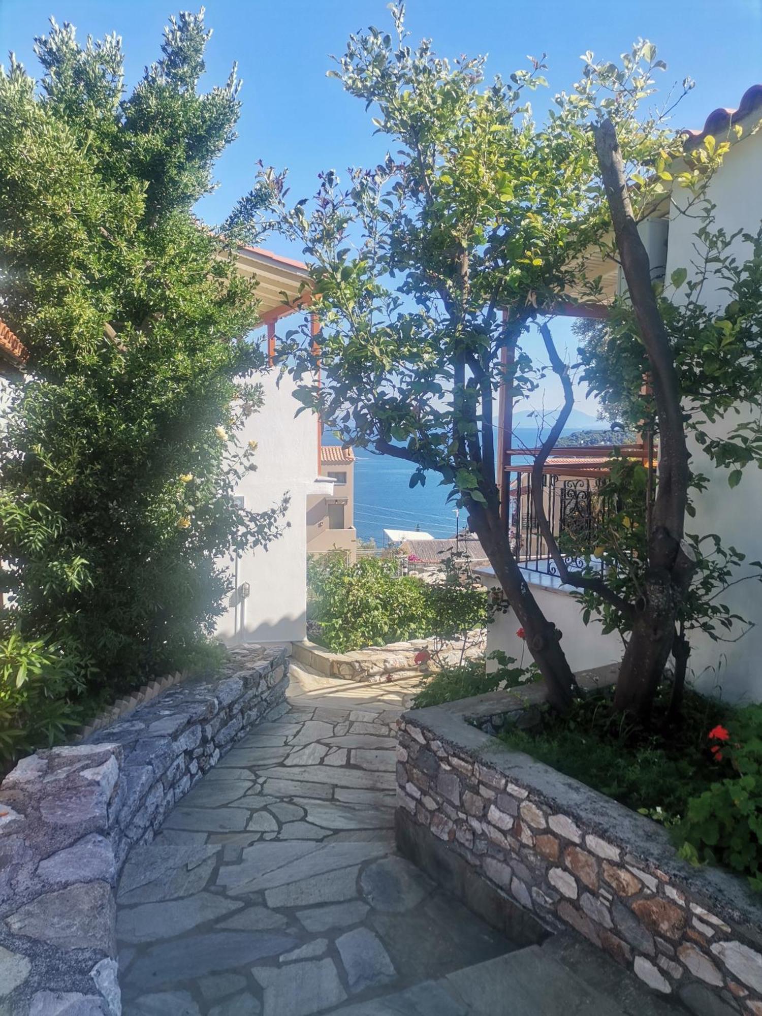Elenis Village Achladies (Skiathos)
